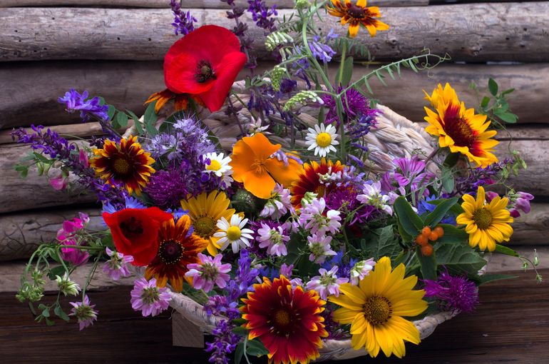 千葉エリアのペット火葬 ペット葬儀でno 1の評価を頂いています 手向けの花サービスはじめました