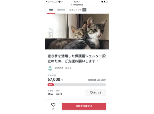 レディーフォー