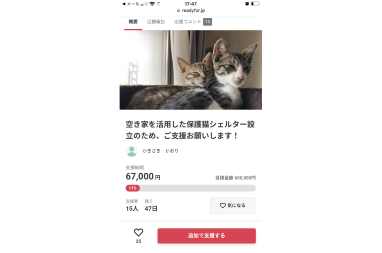 レディーフォー